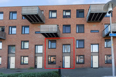 Linie thumbnail