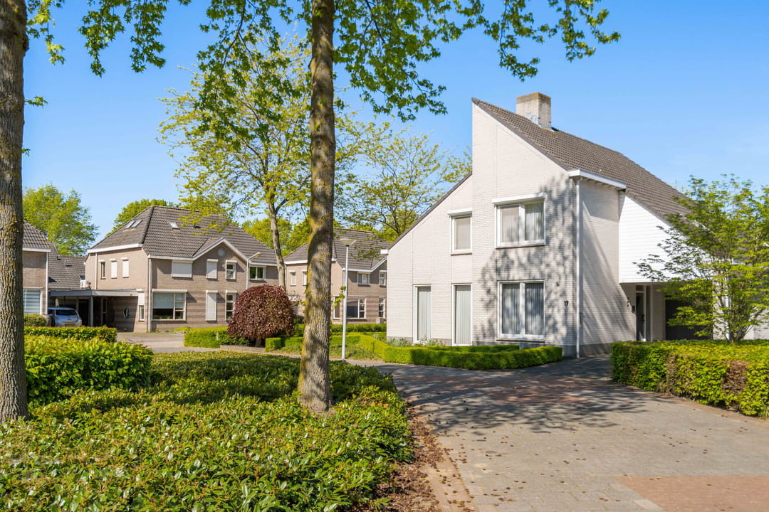 Photo 1 of Standaardmolen 19