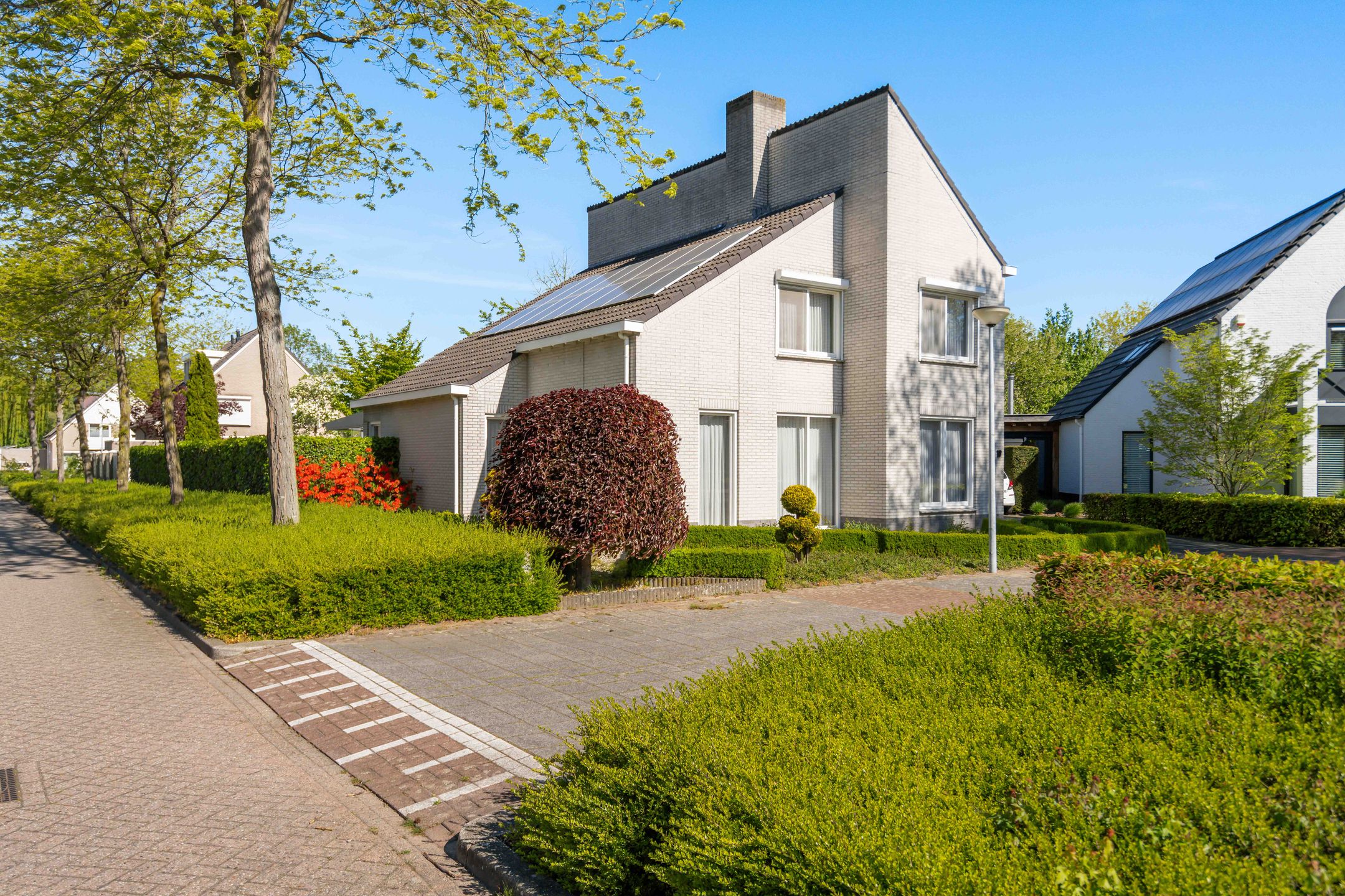 Photo 6 of Standaardmolen 19