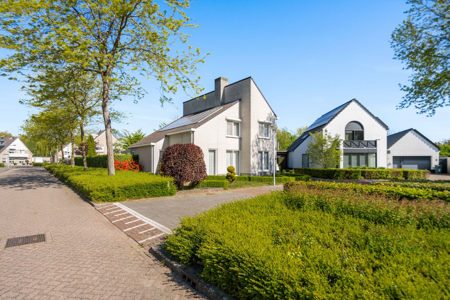 Photo 59 of Standaardmolen 19