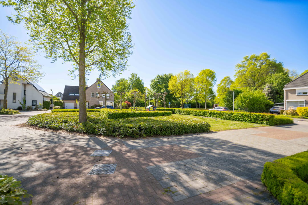 Photo 58 of Standaardmolen 19