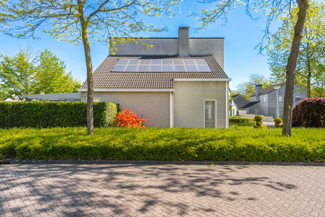 Photo 56 of Standaardmolen 19