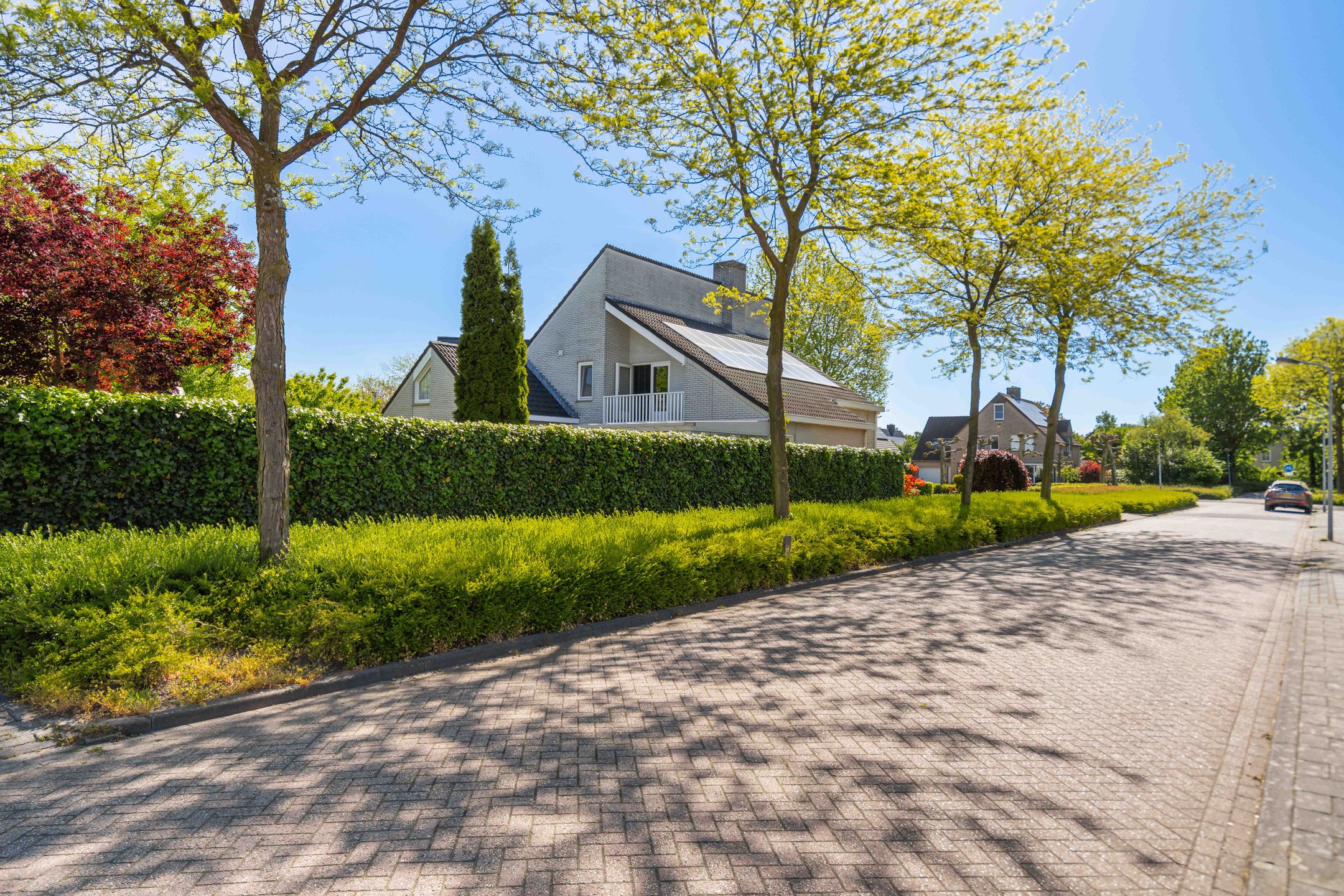 Photo 57 of Standaardmolen 19