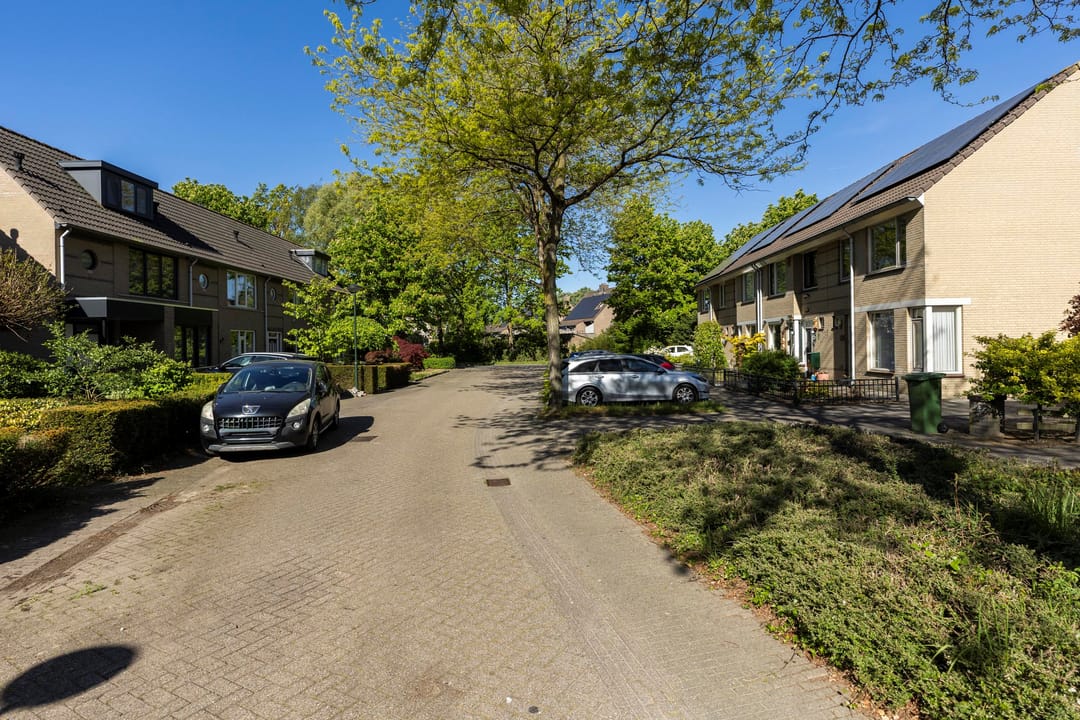 Foto 41 van de Wadden 9