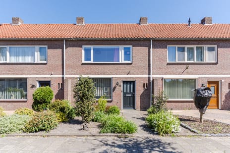 Crocusstraat thumbnail