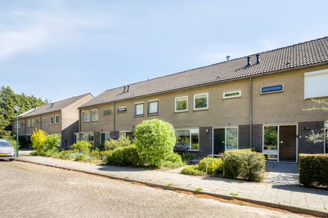 Jan Luijkenstraat thumbnail