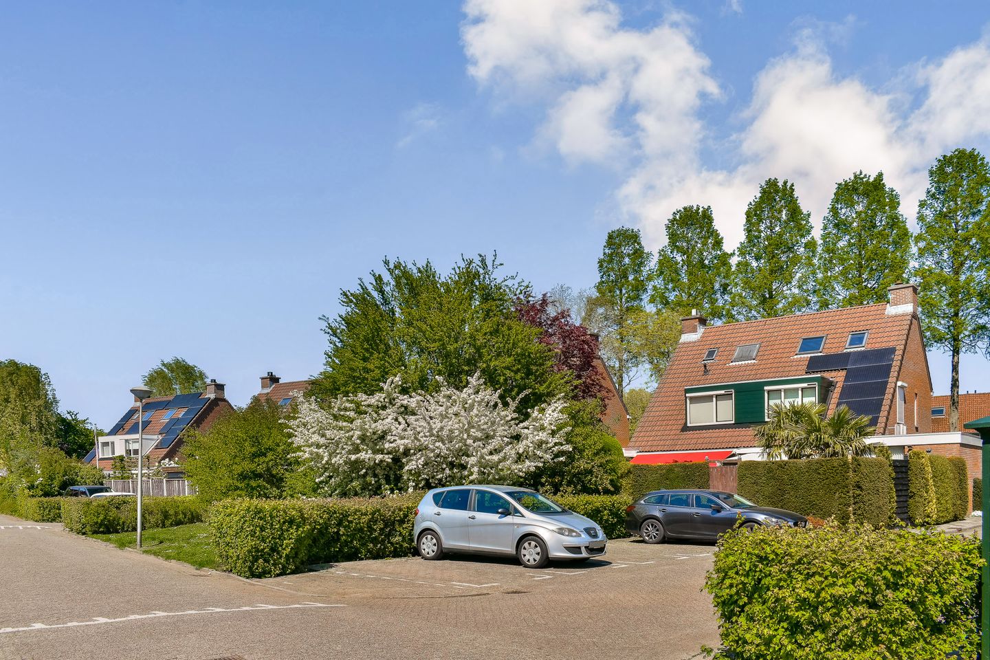 Foto 5 van Hovenier 63