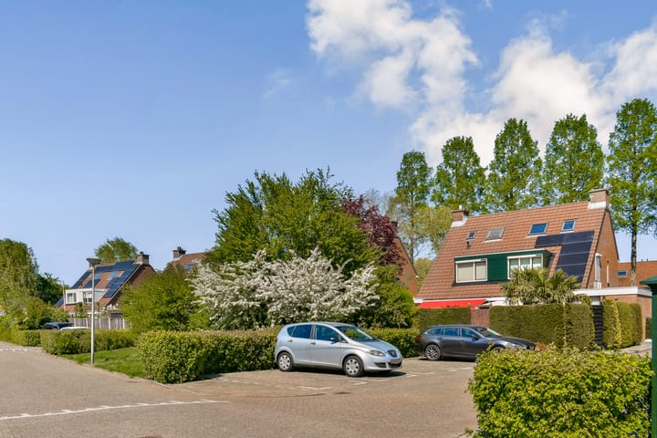 Foto 5 van Hovenier 63