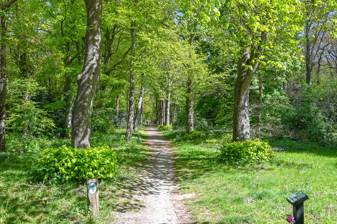 Photo 62 of Van Tuyllweg 20
