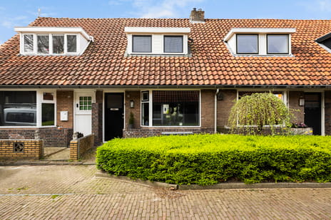 Noteboomstraat thumbnail