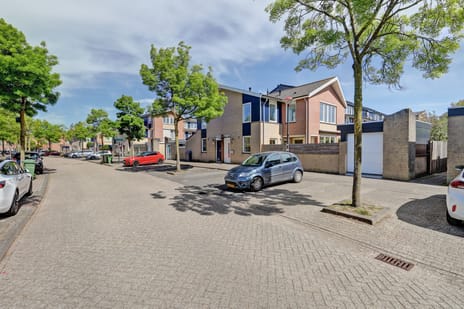 Sikkelkruid thumbnail