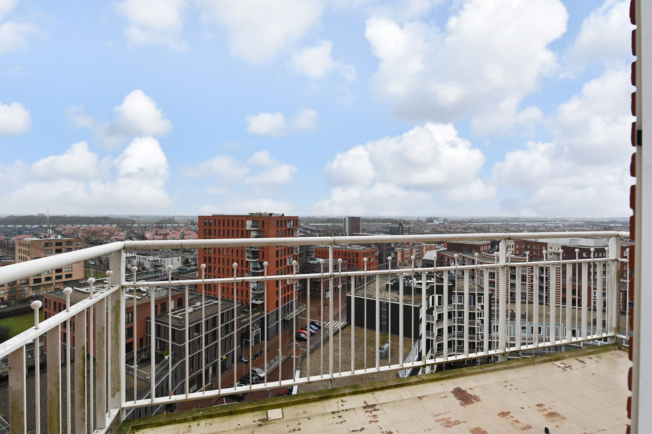 Photo 21 of Westerschelde 271