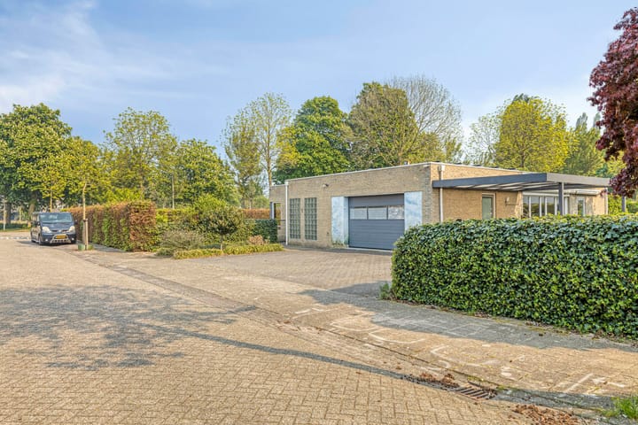 Photo 3 of Zilverschoon 1