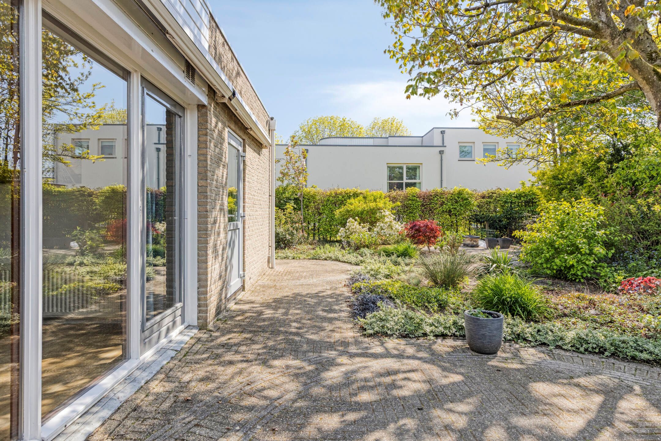 Photo 39 of Zilverschoon 1