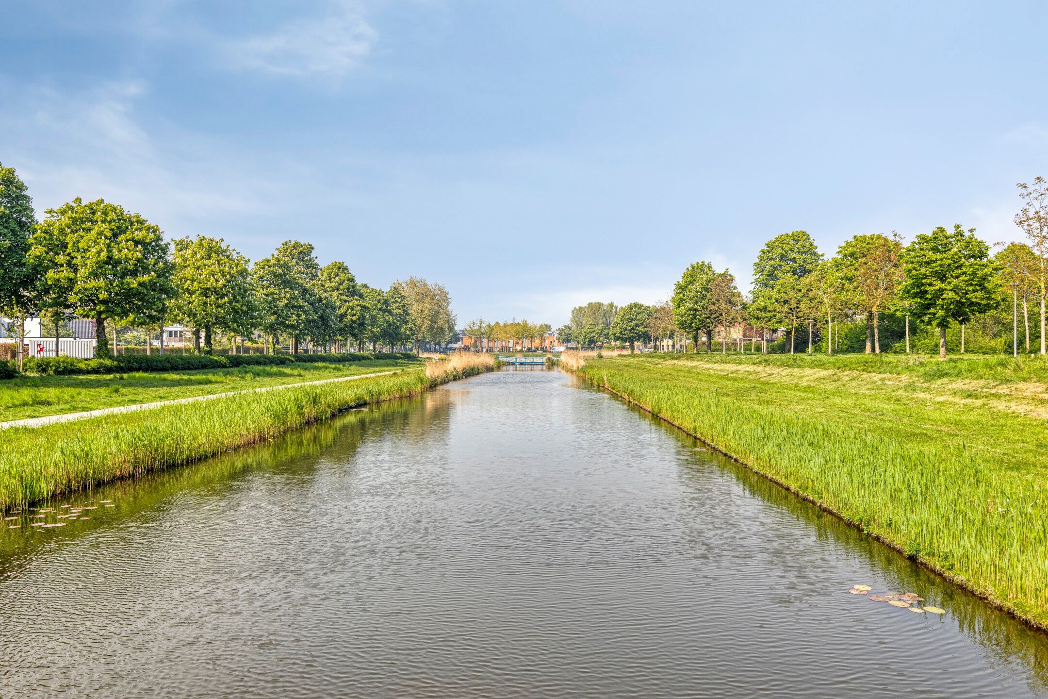 Photo 51 of Zilverschoon 1