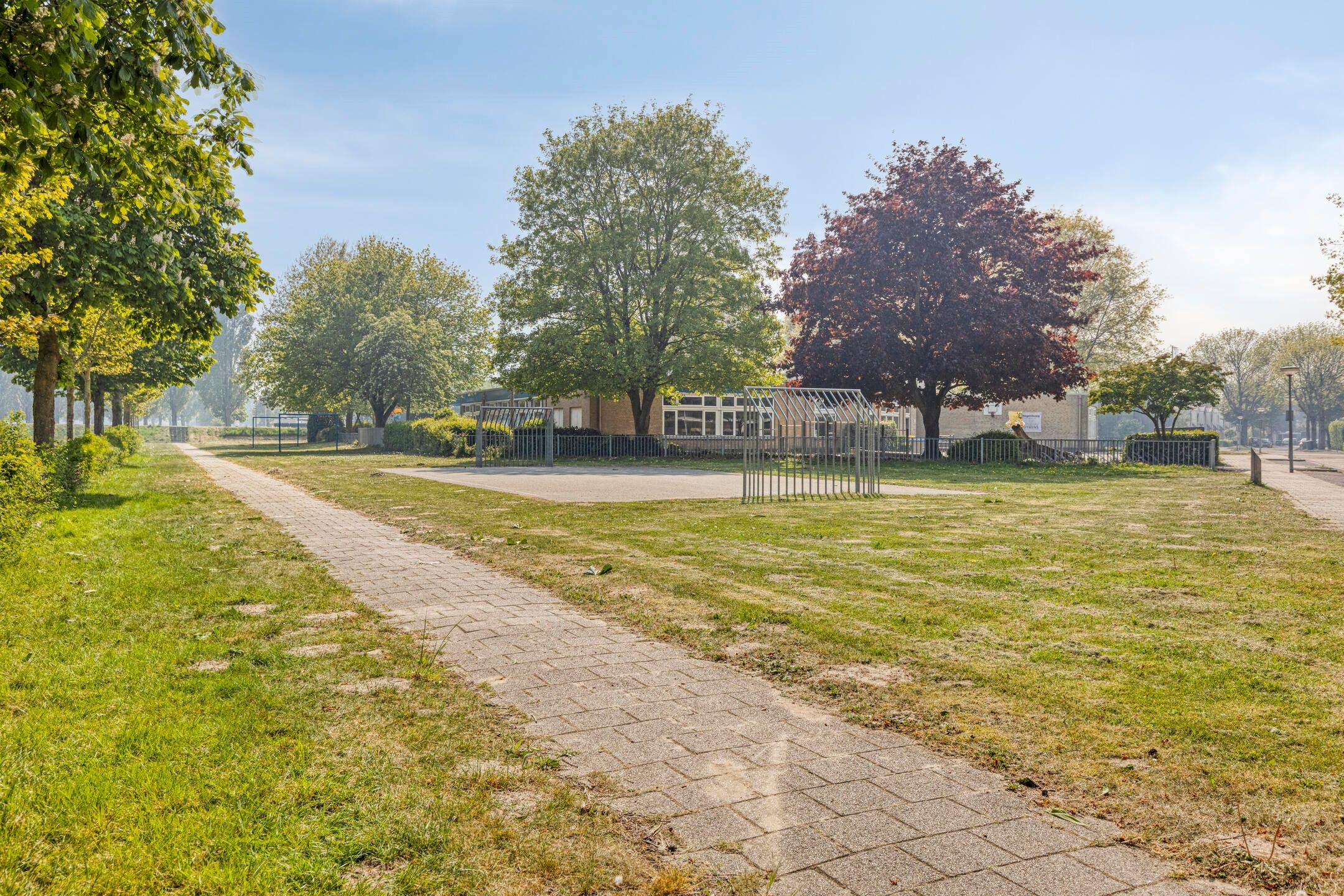 Photo 48 of Zilverschoon 1