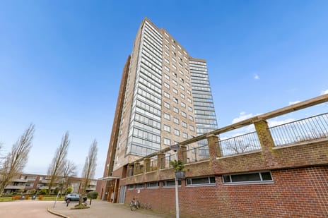 Boomgaardweg thumbnail