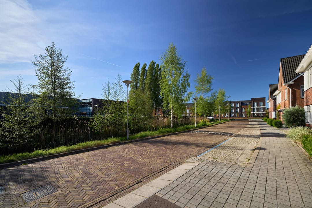 Photo 43 of Het Betonijzer 222