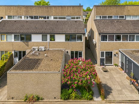 Bloemstede thumbnail