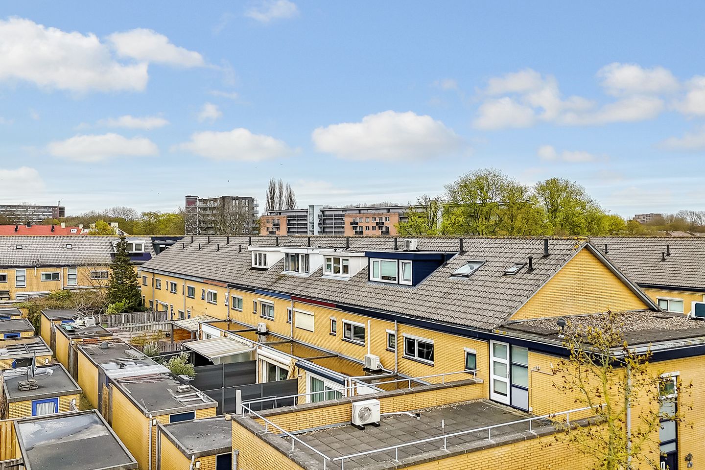 Photo 29 of Paardensprongstraat 11