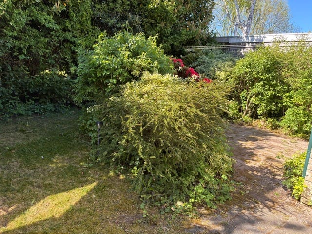 Foto 22 van Schubertlaan 19