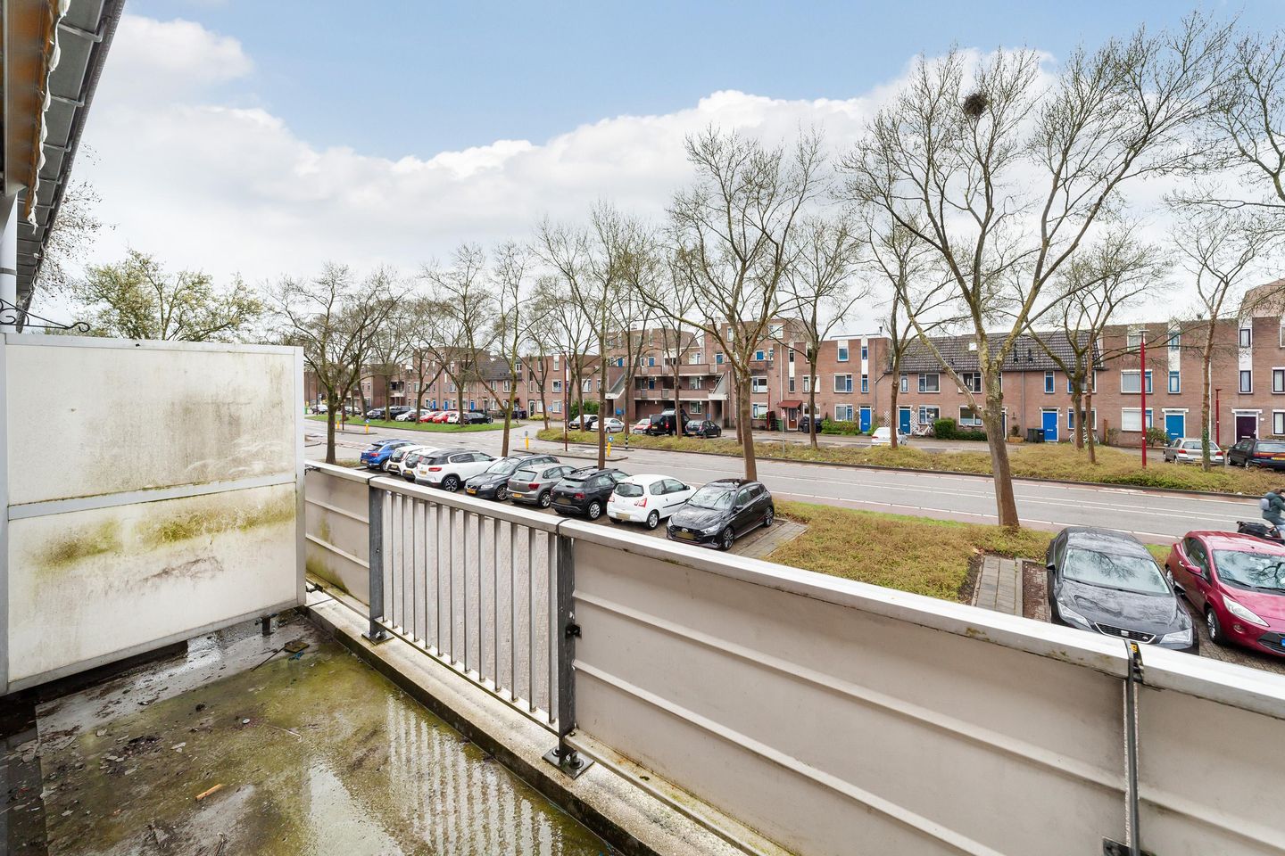 Foto 4 van Goudfazant 7