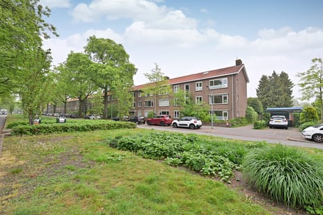 Jacob van Campenlaan thumbnail