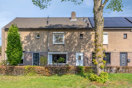 de Bontstraat thumbnail