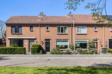 Graaf Janstraat thumbnail