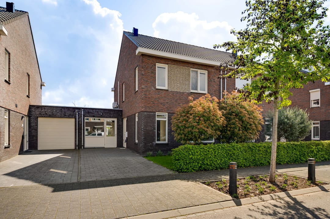 Photo 1 of Groene Specht 12