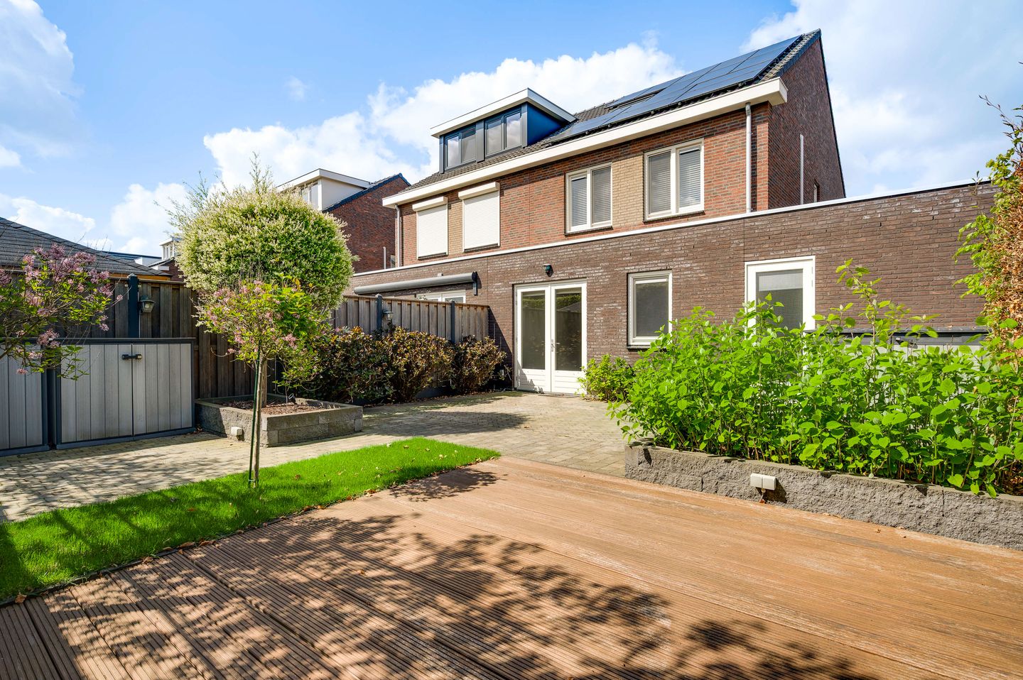 Photo 19 of Groene Specht 12