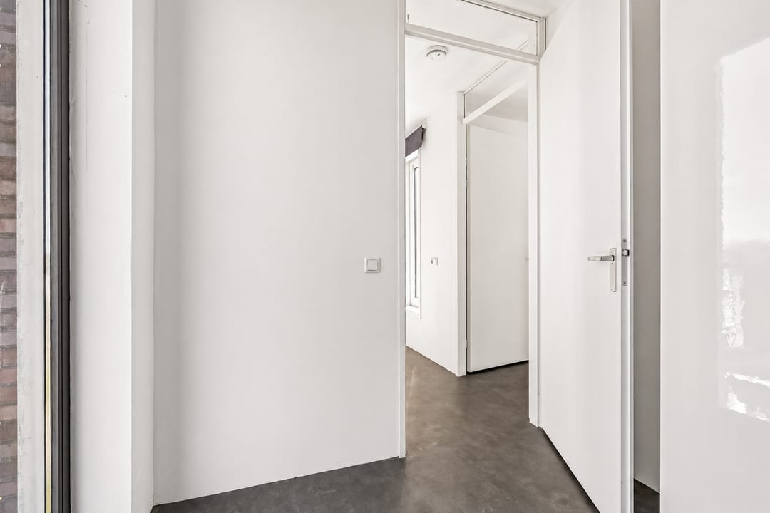 Foto 46 van Professor Pigracht 22