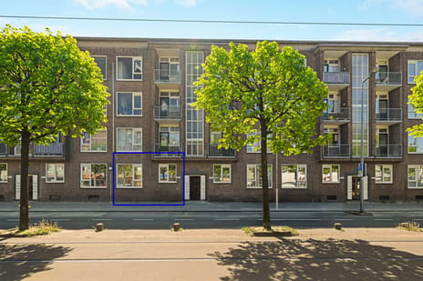 Schiedamseweg thumbnail