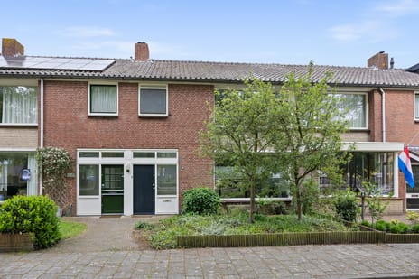 Cederstraat thumbnail