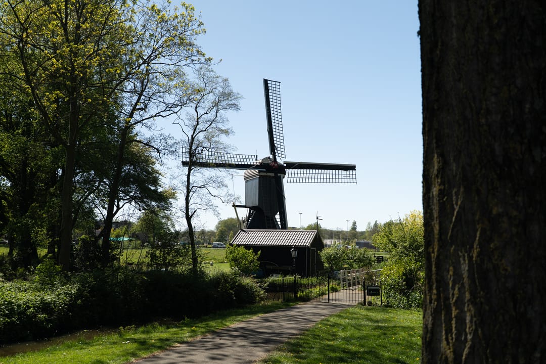 Foto 43 van Pijnboomstraat 133