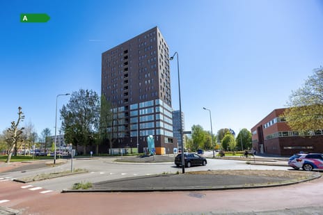 Siersteenlaan thumbnail