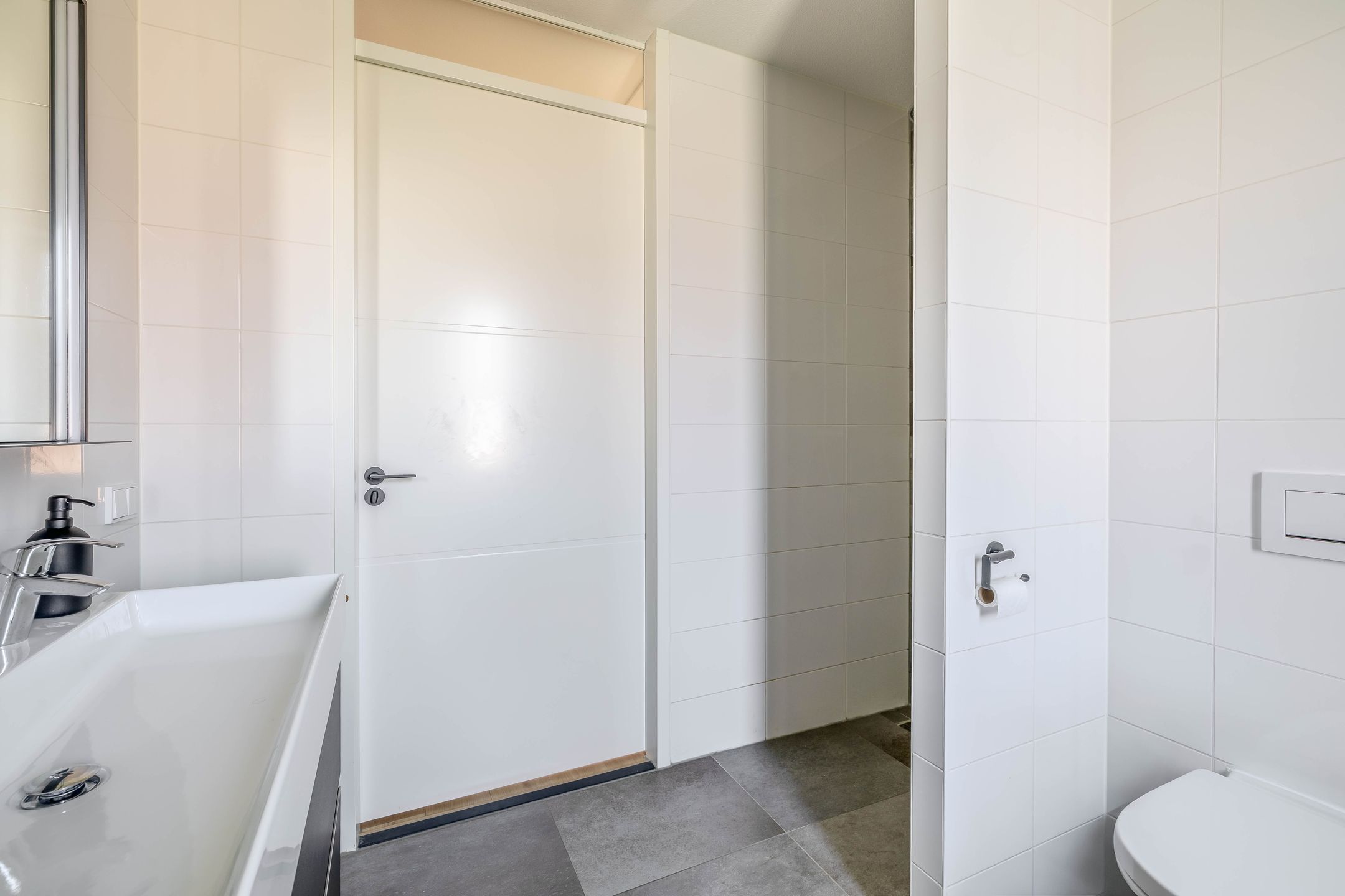Photo 27 of Kuifeend 19