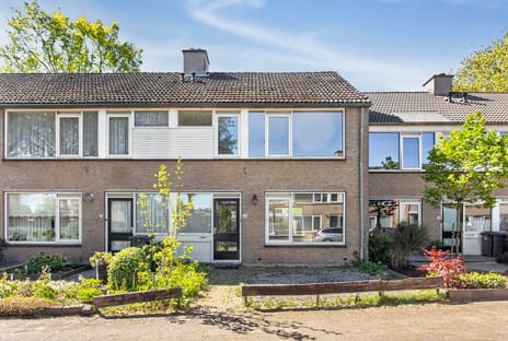 Korenbloemstraat thumbnail