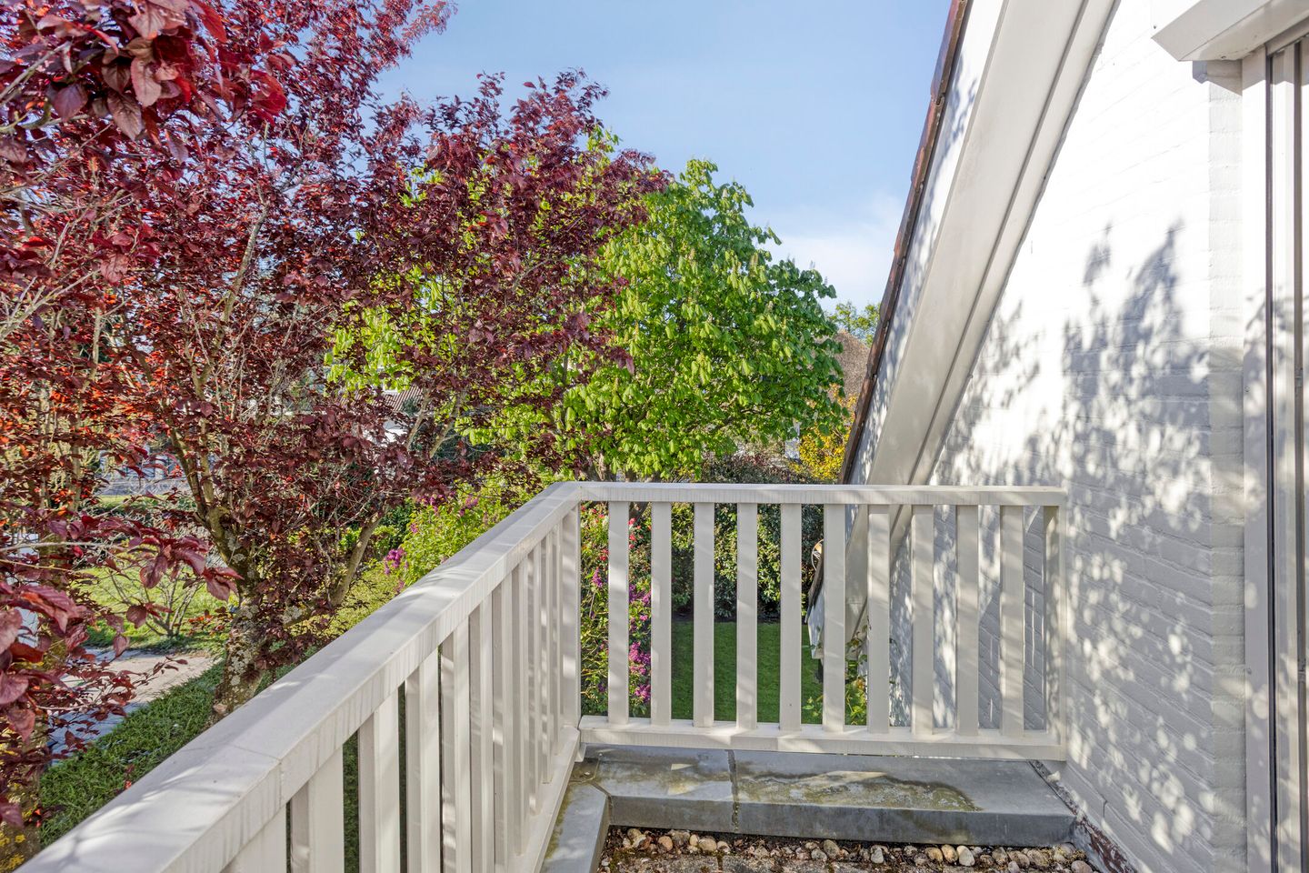Foto 34 van Hagheweide 3