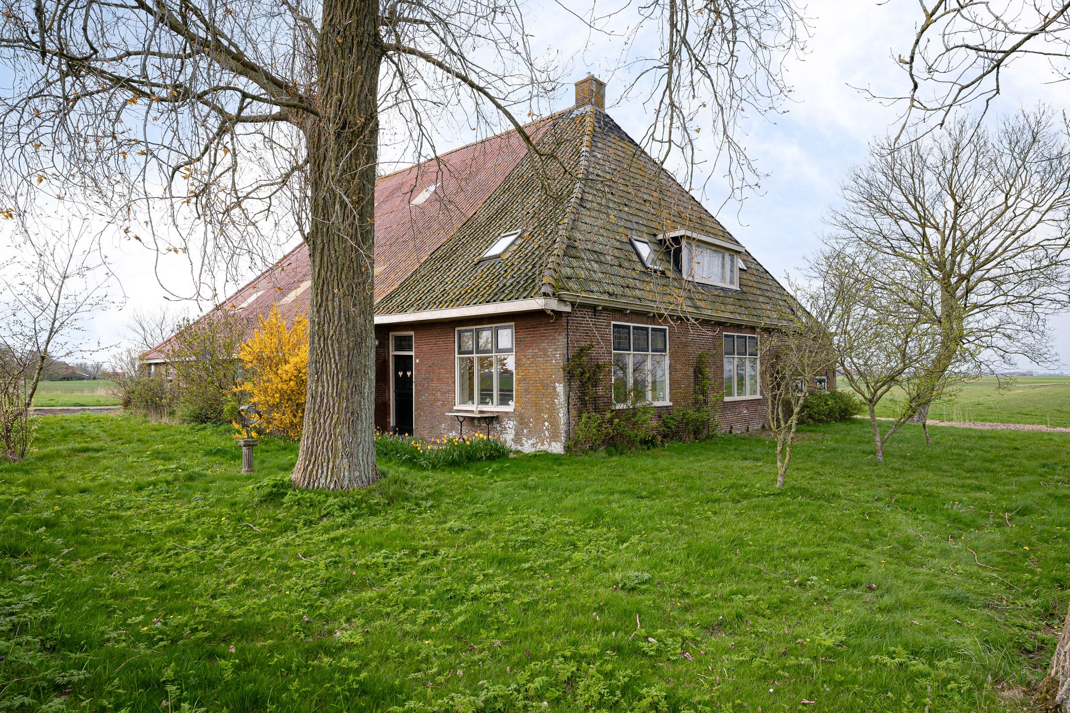 Foto 45 van Slachte 7