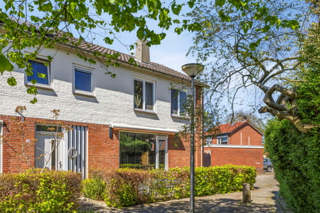 Rozenstraat thumbnail