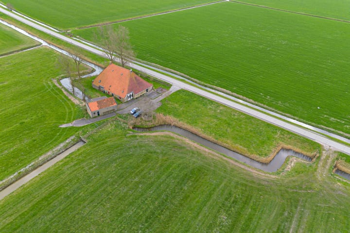 Photo 4 of Slachte 7