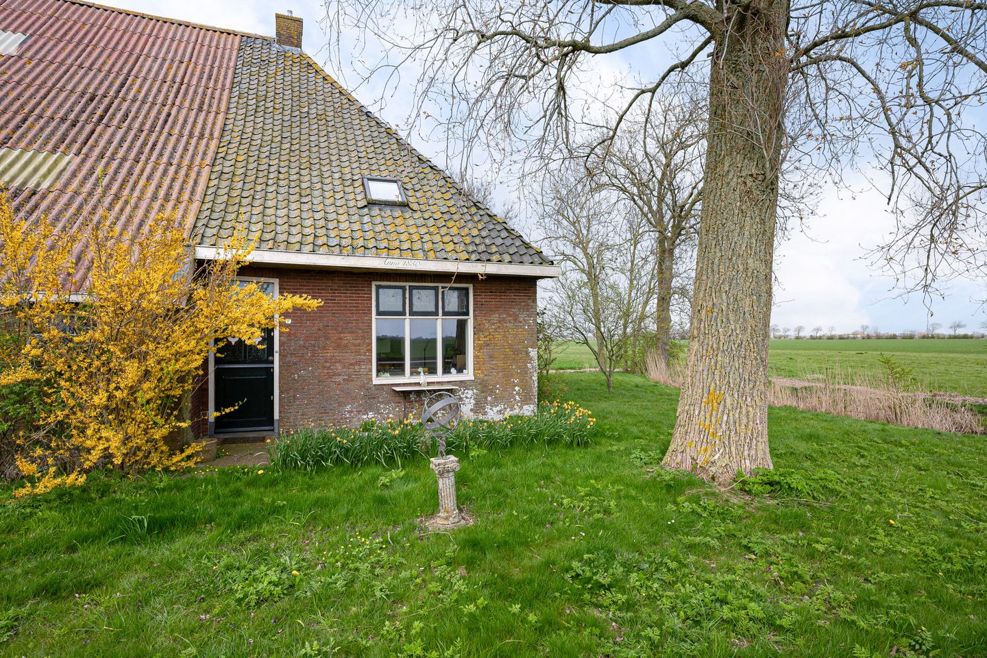 Foto 44 van Slachte 7