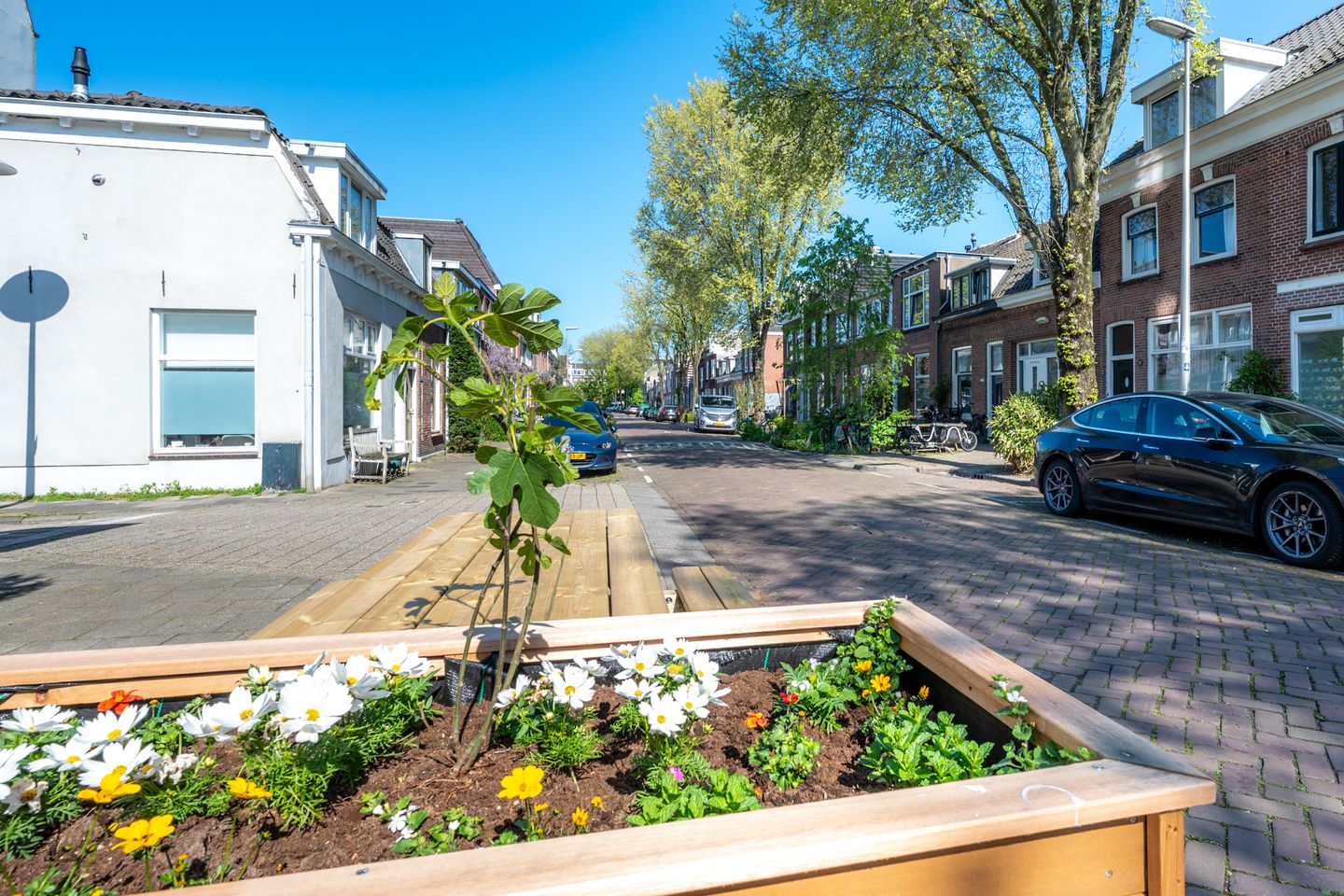 Photo 44 of Berkstraat 10