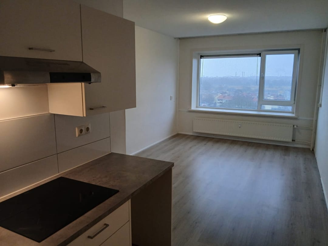 Foto 2 van Perudreef 8-1011