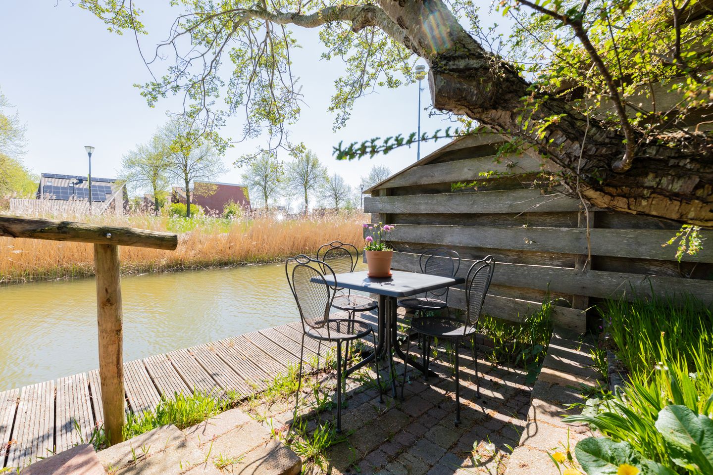 Foto 40 van Spijksterriet 8