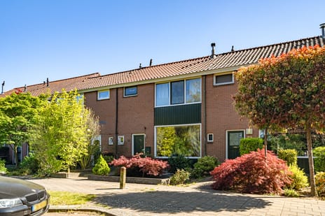 Bruggertstraat thumbnail