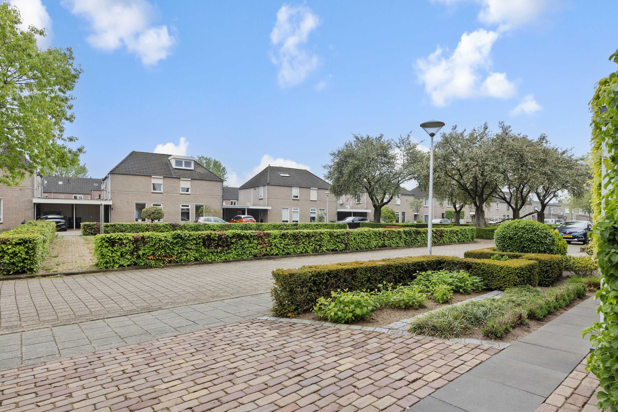 Foto 6 van Duiker 4
