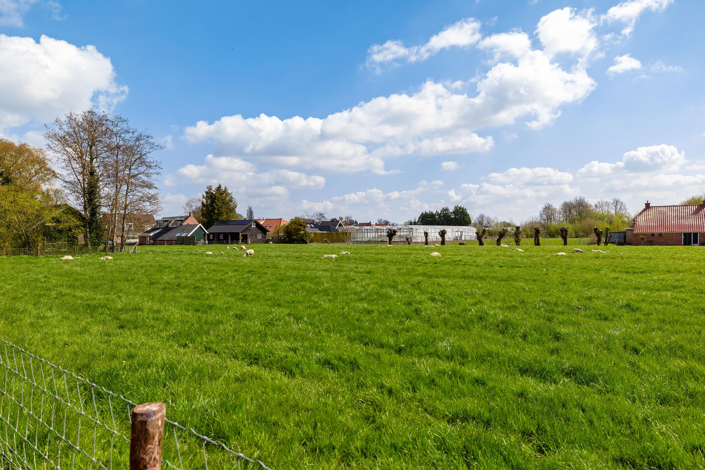 Photo 44 of Bedumerweg 19