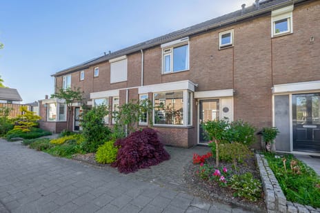 Sweelinckstraat thumbnail